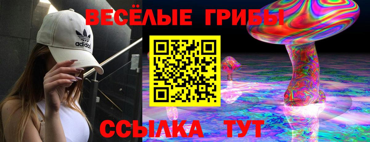 Галлюциногенные грибы мухоморы Кингисепп
