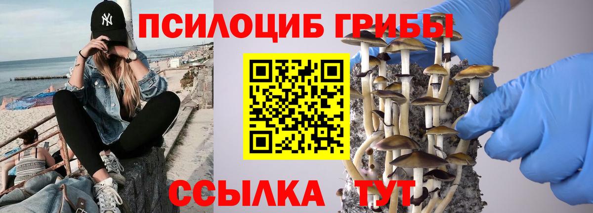 Галлюциногенные грибы мицелий  Вход с VPN  магазин продажи наркотиков  Кингисепп  Псилоцибиновые грибы GOLDEN TEACHER 