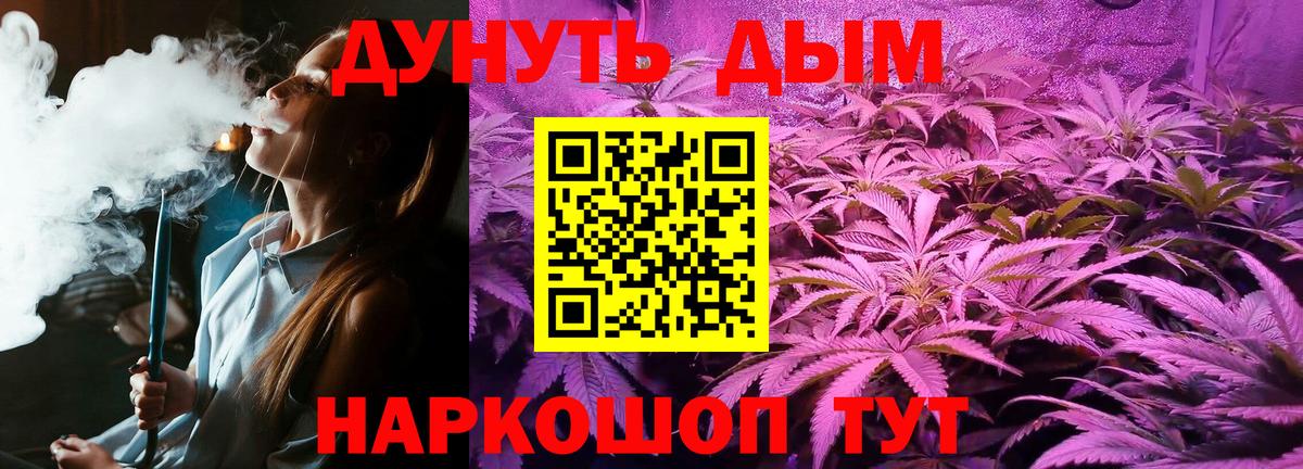 Кингисепп  Шишки марихуана White Widow  Вход с VPN  Конопля MAZAR 